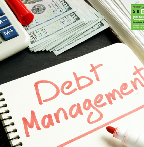 Financial Empowerment Program Series: Managing Debt (webinar)